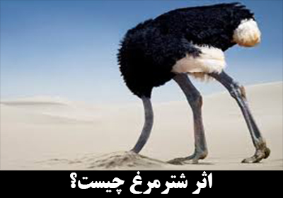 اثر شترمرغ (Ostrich effect) چیست؟