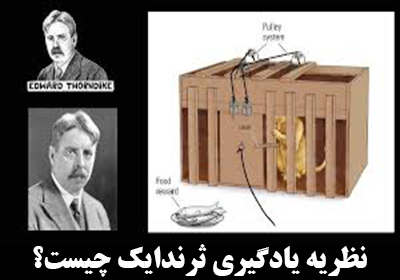 نظریه یادگیری ثرندایک